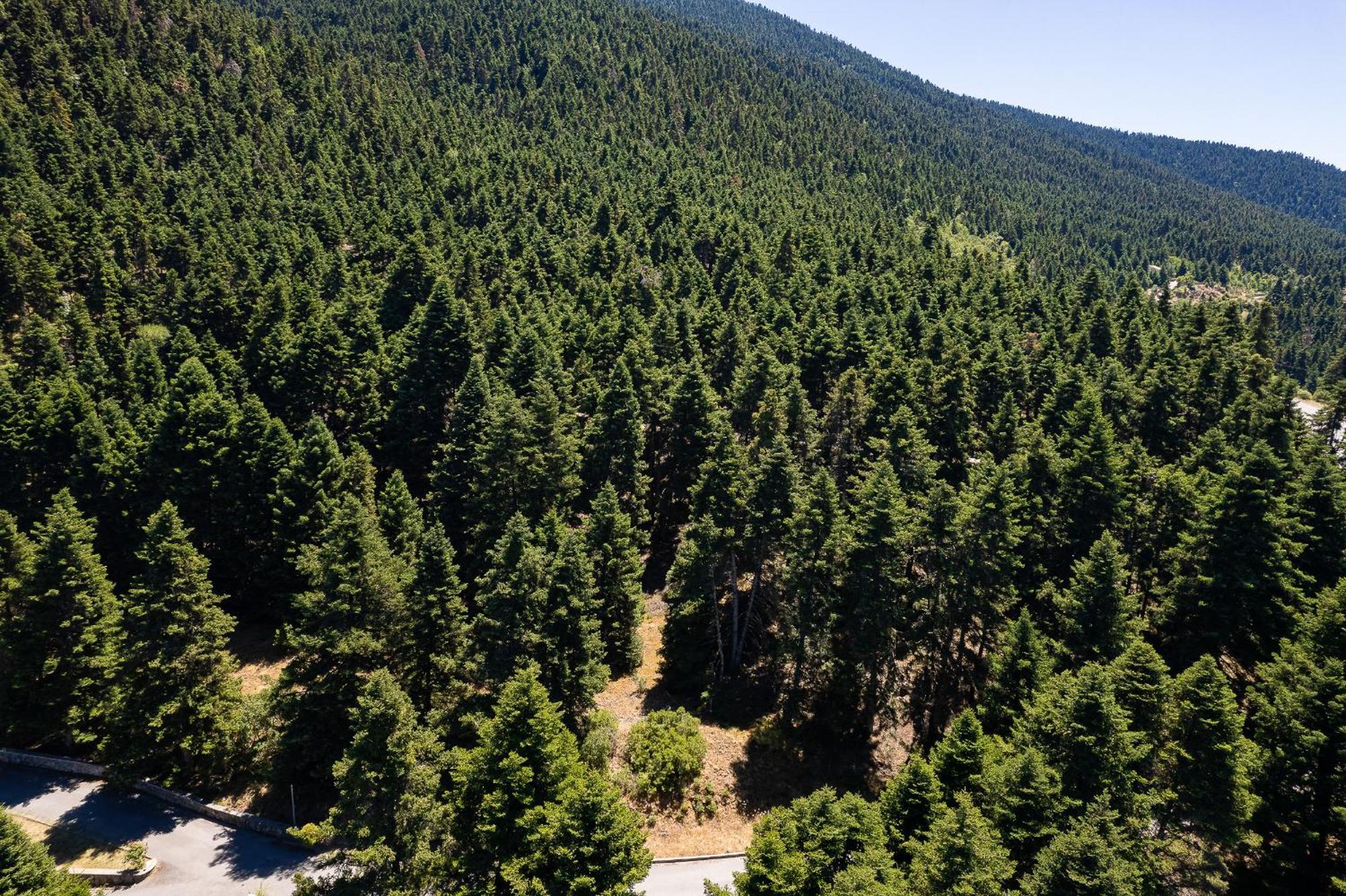 Natura Hotel Vytina Dış mekan fotoğraf