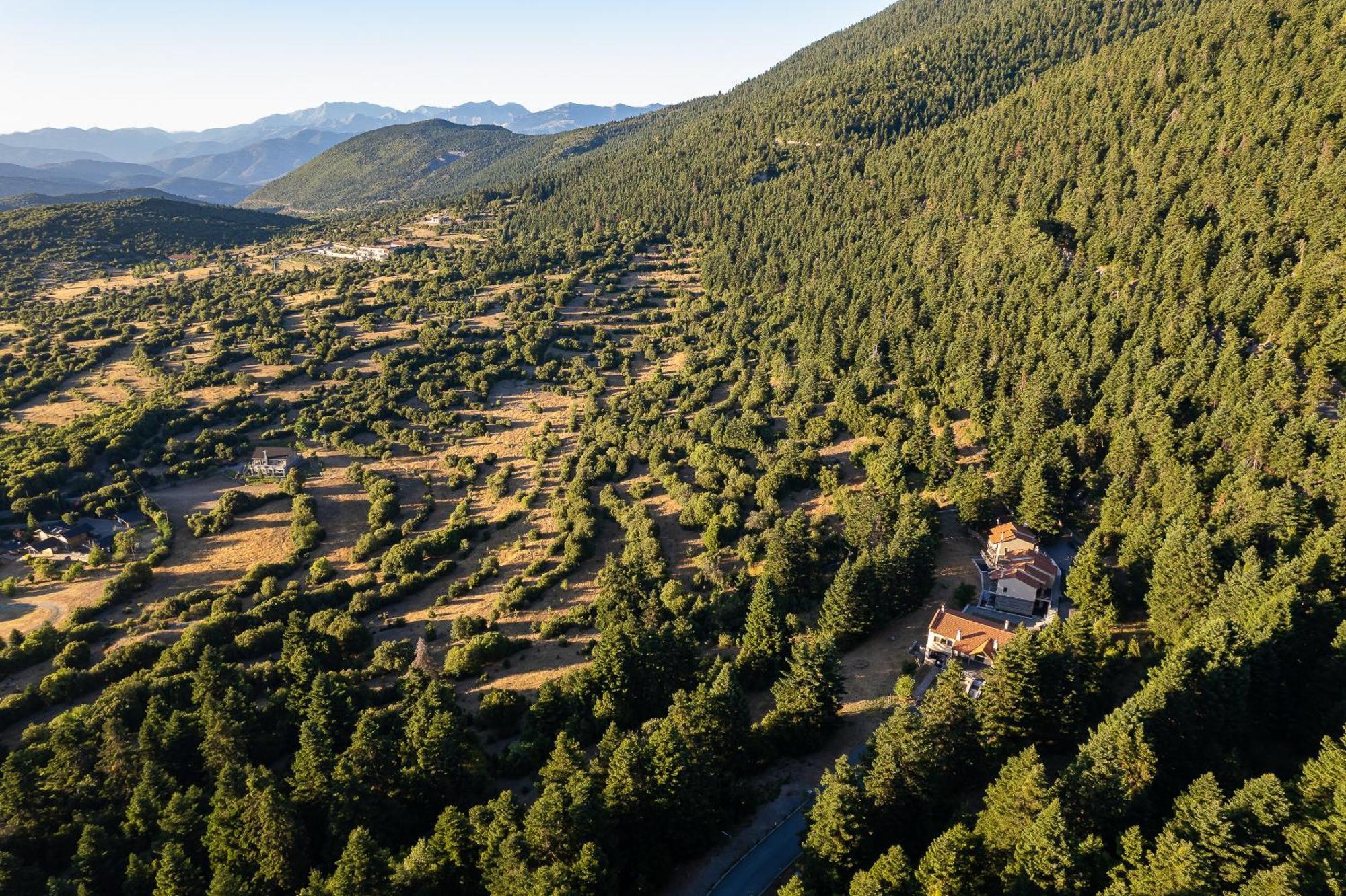 Natura Hotel Vytina Dış mekan fotoğraf