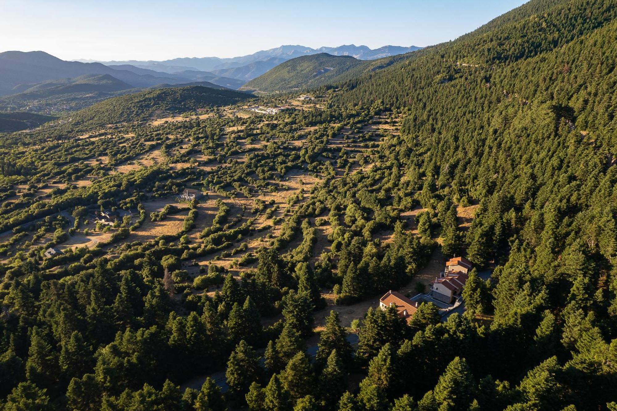 Natura Hotel Vytina Dış mekan fotoğraf
